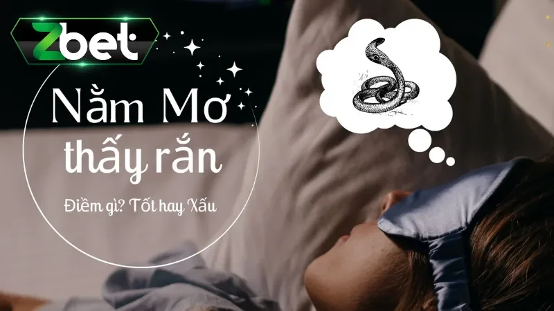 Mơ thấy rắn đánh con gì - Mơ thấy rắn vào nhà 