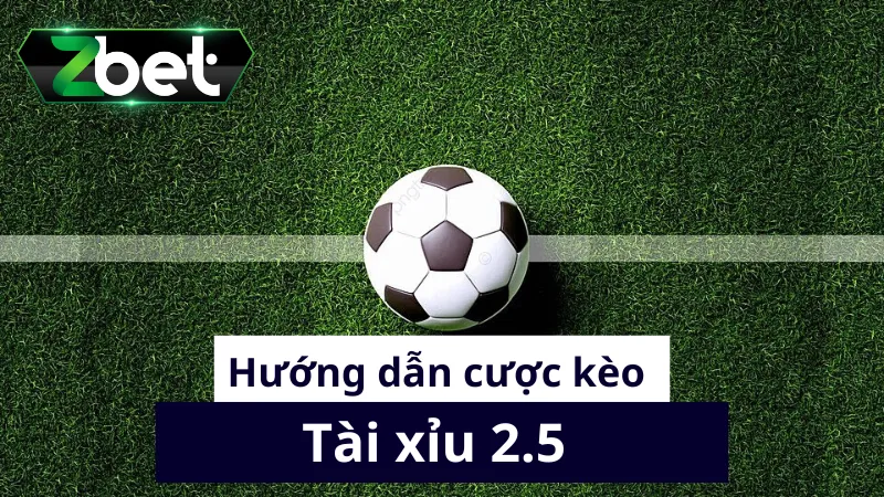 Hướng dẫn cược kèo tài xỉu 2.5