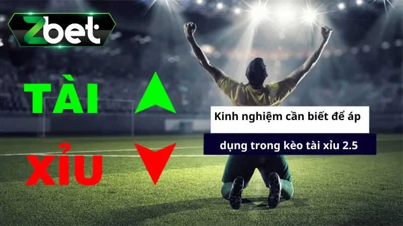 Kinh nghiệm cần biết để áp dụng trong kèo tài xỉu 2.5