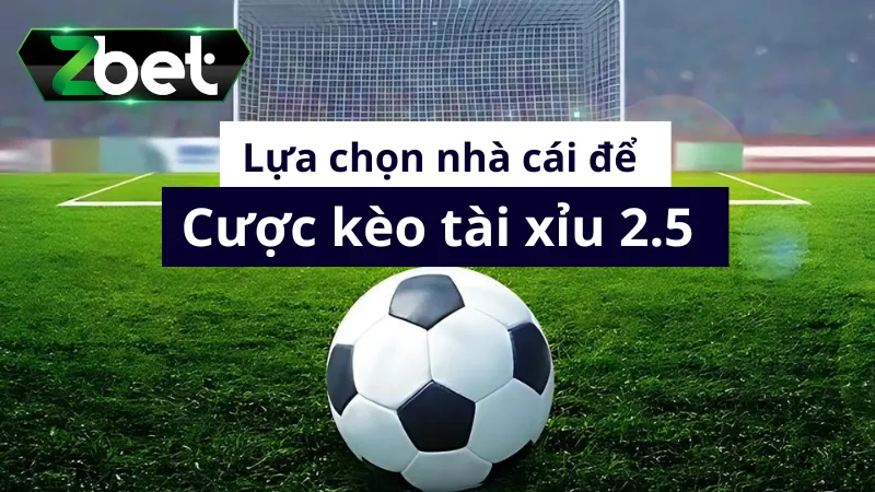 Lựa chọn nhà cái để cược kèo tài xỉu 2.5