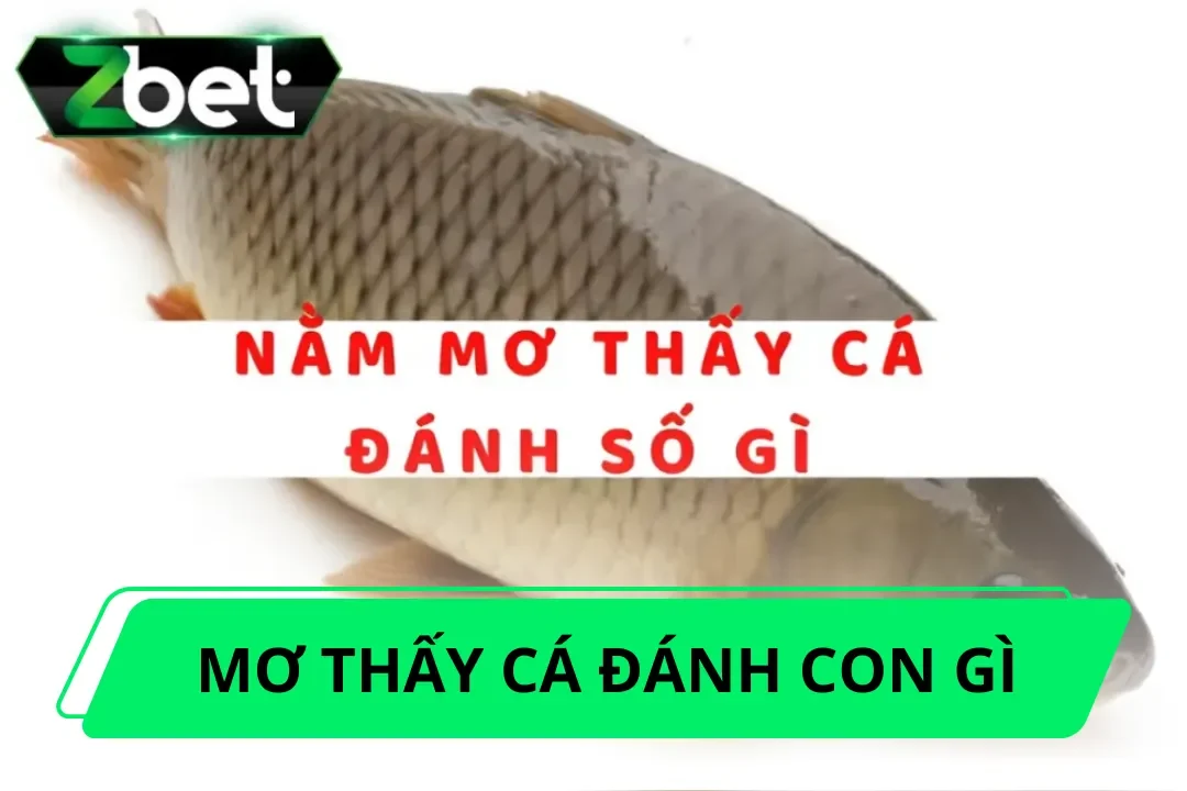 Mơ thấy cá đánh con gì