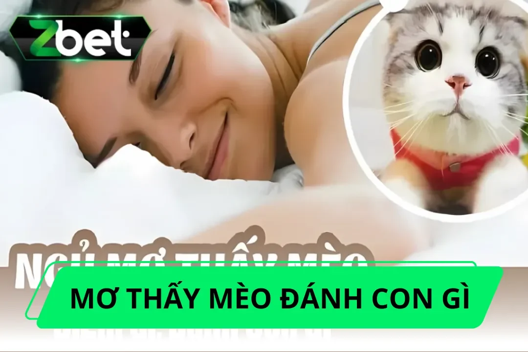 Mơ thấy mèo đánh con gì