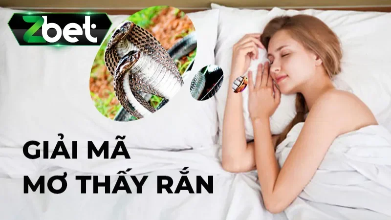 Mơ thấy rắn đánh con gì phụ thuộc người nằm chiêm bao 