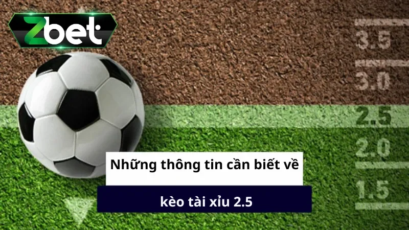 Những thông tin cần biết về kèo tài xỉu 2.5