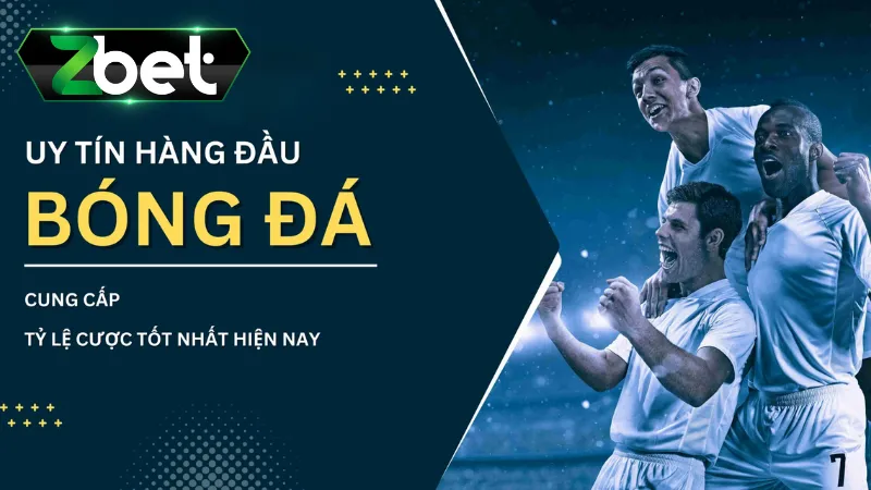 Trang cá độ bóng đá hàng đầu Zbet