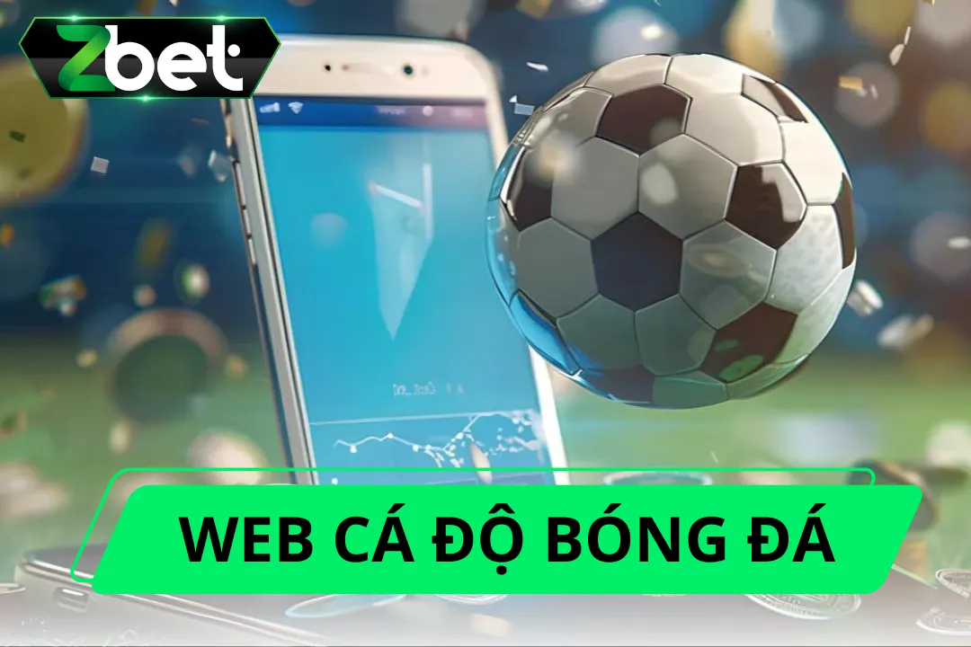 Web cá độ bóng đá