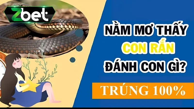 Ý nghĩa của việc mơ thấy rắn đánh con gì? 